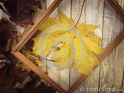 Wooden rectangular picture frame and yellow autumn leaves, maple on the background of wooden boards. The background. Texture Stock Photo