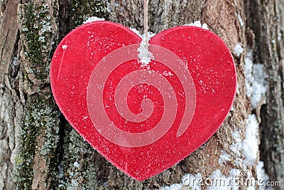 Wooden red heart against the background of texture of a tree Stock Photo