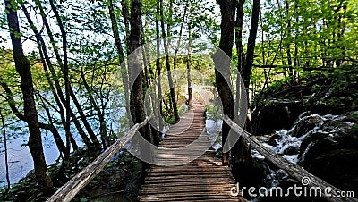 Wooden road in the forest, lakes, bridge, green nature, Waterfalls Stock Photo