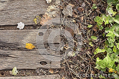 Wooden road planks with autumn leaves Stock Photo