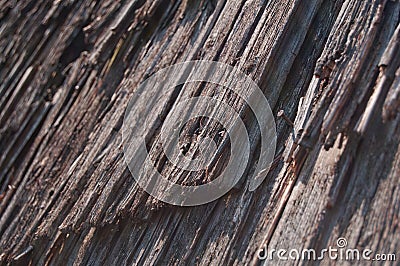Wooden roof disintegrating Stock Photo