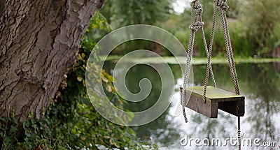 Wooden Rope Swing By River Stock Photo