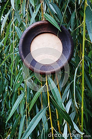 Wooden round frame on a background of willow leaves. Stock Photo