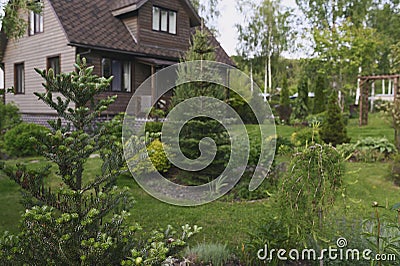 wooden rustic country house (dacha) in summer Stock Photo