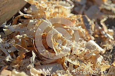 Wooden sawdust Stock Photo