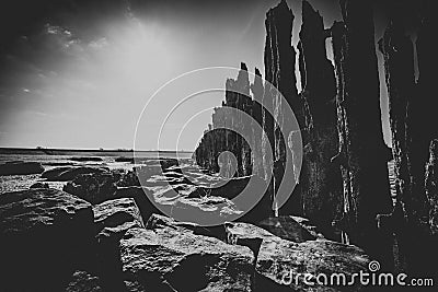 Wooden seawall near the Island Vlieland Sadden sea Friesland, The Netherlands Stock Photo