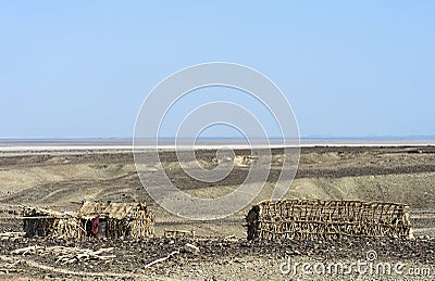 Wooden shelters of Afar people Stock Photo