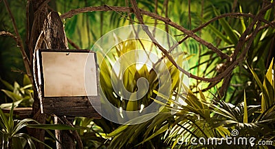 Wooden sign in the jungle Stock Photo