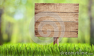 Wooden sign in summer forest, park or garden Stock Photo