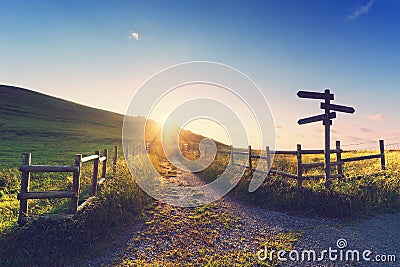 Wooden signpost near a path Stock Photo