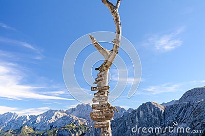 Wooden signpost with route arrows on dry tree Stock Photo
