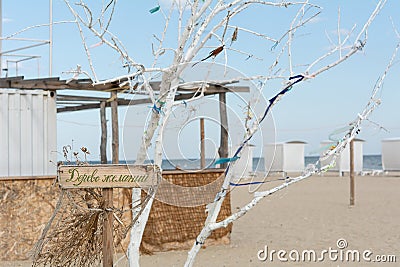 Wooden signpost with the text Wish Tree Stock Photo