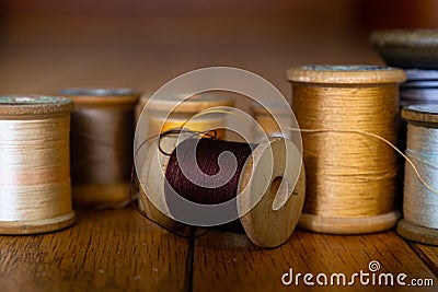 Cream, Grey, Yellow, Dark Grey, Gold, White, and Silver Thread on Wooden Spools Sit on a Series of Wooden Planks Stock Photo