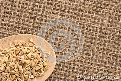 Wooden spoon. Neutral background. Buckwheat grains. Healthy food Stock Photo