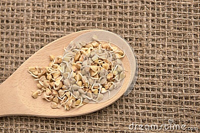 Wooden spoon. Neutral background. Buckwheat grains. Healthy food Stock Photo