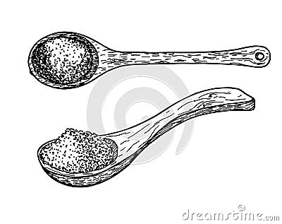 Wooden spoon with spices, salt, sugar, flour, cereals set. Large wooden spoon, vintage. Culinary vector sketch Vector Illustration