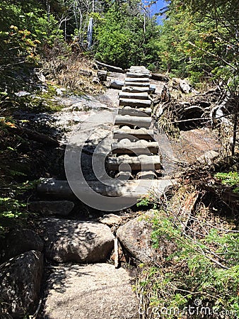 Wooden stairs Stock Photo