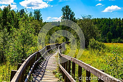 Wooden stairs in forest are leading upwards seamed by moss covered stones and the wooden railing in a spring scenery in Stock Photo