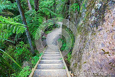 Wooden stairs of hiking track, Mount Manaia. Stock Photo