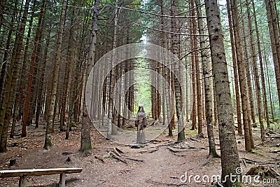 Wooden statue in a forest open-air museum in Vydrovo. Stock Photo