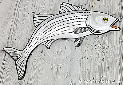 Woo Striped Bass Stock Photo