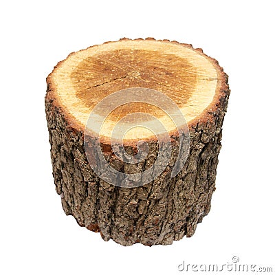 Wooden stump Stock Photo