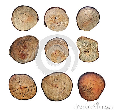 Wooden stump isolated on the white background. Round cut down tree with annual rings as a wood texture Stock Photo