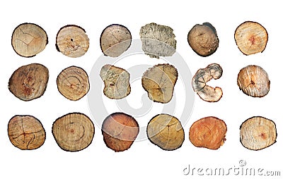 Wooden stump isolated on the white background. Round cut down tree with annual rings as a wood texture Stock Photo