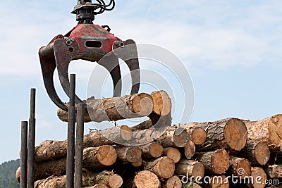 Wooden stumps on a truck Stock Photo