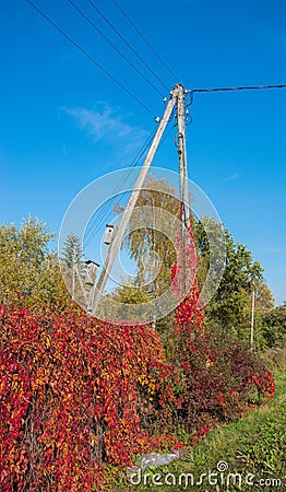 Wooden supports high-voltage power with nesting box on the blue sky background. Electrical industry. Autumn background Stock Photo