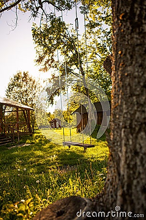 A wooden swing is suspended by long ropes from a tree branch in an eco-Park. Stock Photo