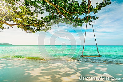 Wooden swings hang from branch of tree at seaside. Emerald green sea water with blue sky and white clouds on summer. Summer vibes. Stock Photo