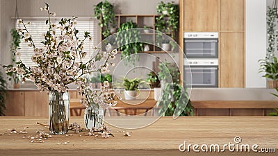 Wooden table, desk or shelf close up with branches of cherry blossoms in glass vase over blurred view of modern kitchen, urban Stock Photo