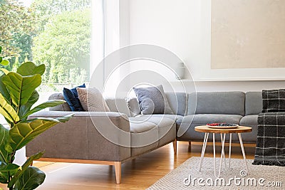 Wooden table next to grey corner couch in living room interior w Stock Photo