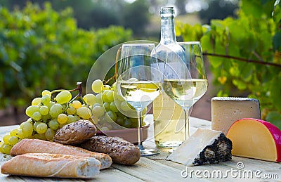 Wine, cheese, grape on vineyard background Stock Photo