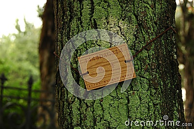 Wooden tag on mossy tree bark Stock Photo