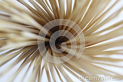 A wooden textural background is made of wooden sticks. Bounquet with sharp wooden sticks. Stock Photo