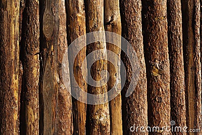 Wooden texture background. Many round woods background Stock Photo