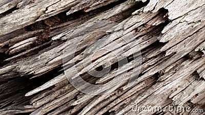 Wooden Textures Stock Photo