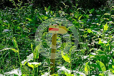 Wooden tourist trail direction sign in the forest. healthy lifestyle Stock Photo