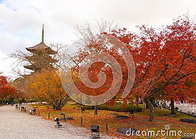 The wooden tower of To-ji Temple, Kyoto, Japan .Toji Pagoda during the fall season..Autumn scenery of the To-ji temple and reflect Stock Photo