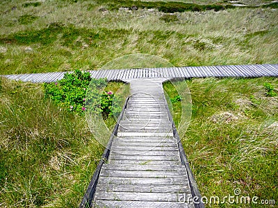 Wooden track leading in two directions Stock Photo