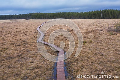 wooden trail among yellow autumn swamps. Sestroretsk bog reserve in St. Petersburg Stock Photo