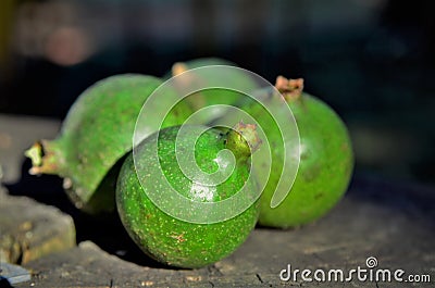 On the wooden trunk table fruits of the green American genipa in detail Stock Photo