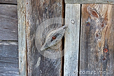 Wooden turntables closeup at door in rustic style Stock Photo