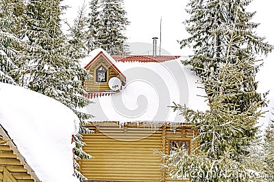 Wooden village rural house,mansion,hotel covered in snow,big icicles in winter forest mountains,Green high spruce pine trees, Stock Photo