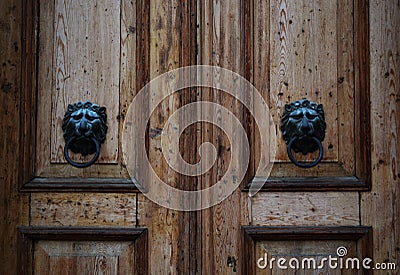 Wooden Vintage Brown Door Lion Knocks Stock Photo