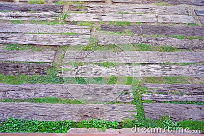 Wooden walkway in garden with green grass and leaves background Stock Photo