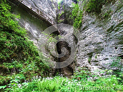 Wooden walkway leading into a cave at Pokljuka gorge in Gorenjska, Slovenia Stock Photo