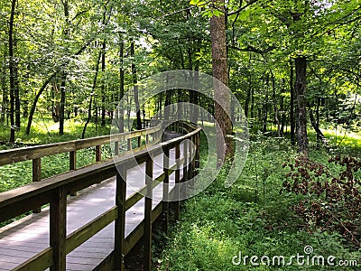 Wooden Walkway in Mammoth Cave National Park Stock Photo